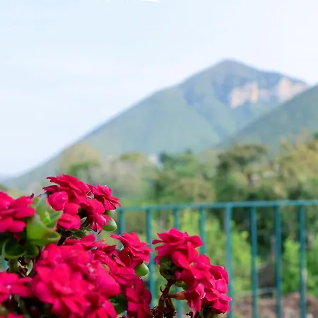 Casa Fifina Bed & Breakfast Sant'Egidio del Monte Albino